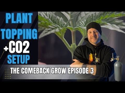 Plant Topping + CO2 Setup for Maximum Yields| Episode 3 The Comeback Grow
