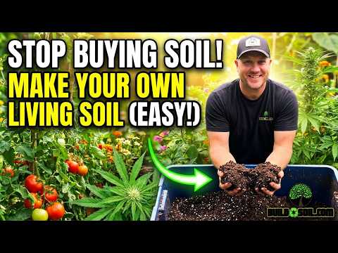 Make Your Own LIVING SOIL with This Easy Kit