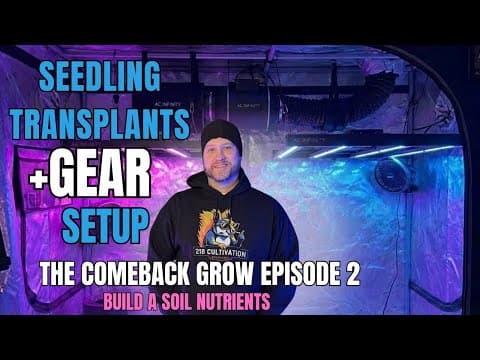 100% Germination Success: Upgrading My Grow Setup | The Comeback Grow Episode 2